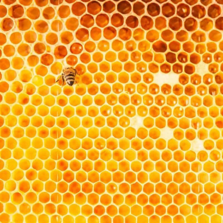 Апизан синтетический продукт  создан для пчелолечения