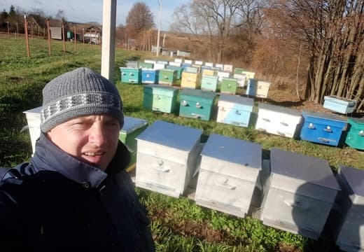 Пасека Моисеева1
