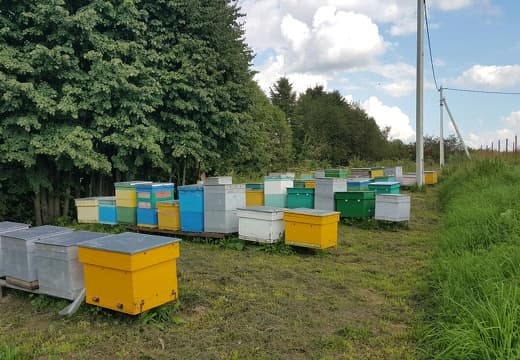 Пасека Моисеева2