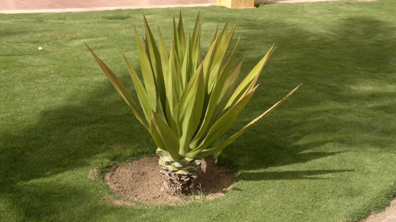 2013-03-23-323.jpg