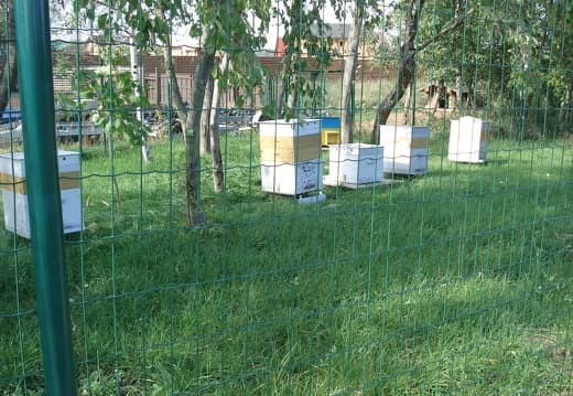 Пасека Цивес А.В Конаково Тверь01