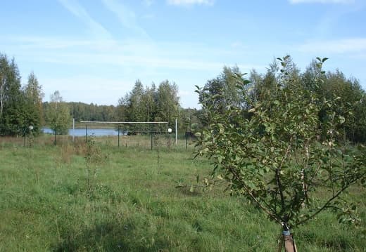 Пасека Цивес А.В Конаково Тверь02