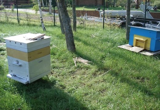  Улей 12 рамочный Дадан однокорпусной с магазином. Пасека Цивес А.В Конаково Тверь