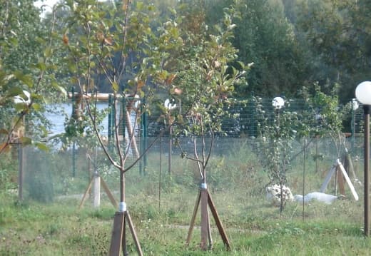 Пасека Цивес А.В Конаково Тверь014