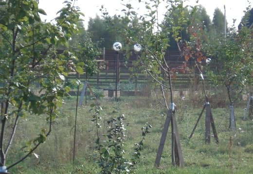 Пасека Цивес А.В Конаково Тверь015