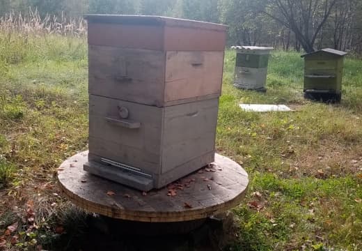 Ульи 12 рамочные Дадан оригинальная подставка. Пасека Дениса Любинского д.Сени