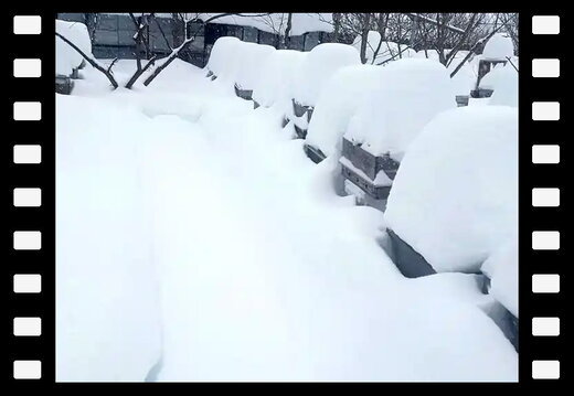 Своя пасека 19.02.2026