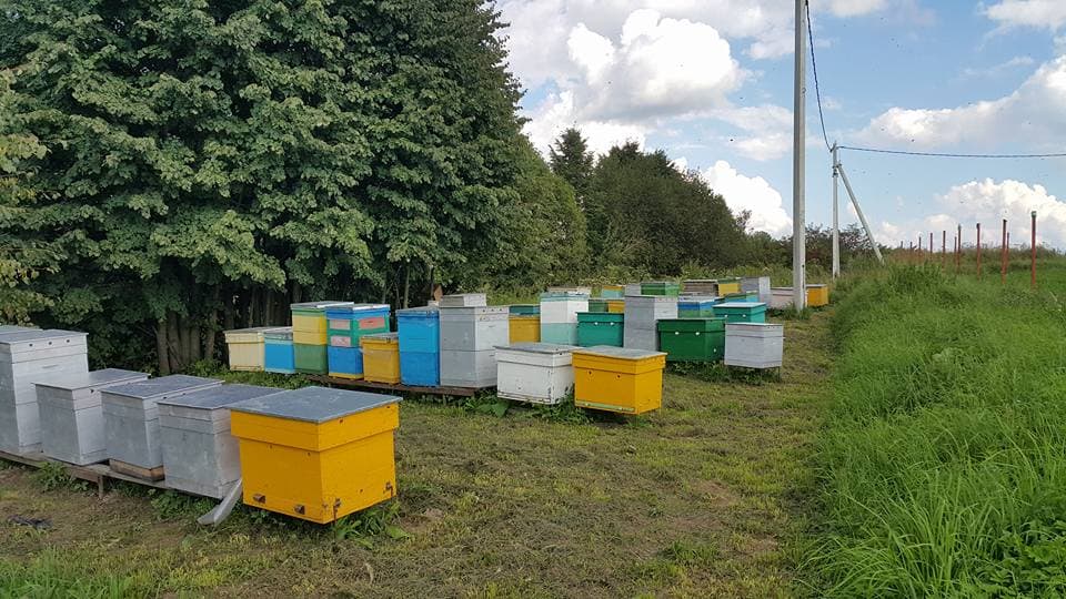 Передовая Пасека Интернет Магазин Пчеловодства В Москве